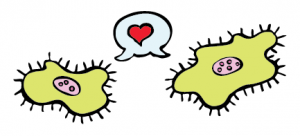 Kuka keksi rakkauden alkueliöt