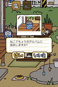 Neko atsume valokuvaaminen