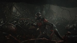 Minikokoon kutistettuna Ant-Man viihdyttää - ruohonjuuritason kohtaukset ovat kauniita ja vauhdikkaita. Myös taistelujen minimalistinen skaala herättää viehätystä - vihdoin sankari, joka kykenee tosissaan minimoimaan materiaali- ja henkilövahingot! ©The Walt Disney Company Nordic.