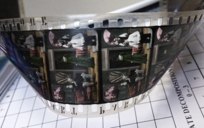 The Nitrate Picture Show: filmin perässä toiselle puolelle maailmaa