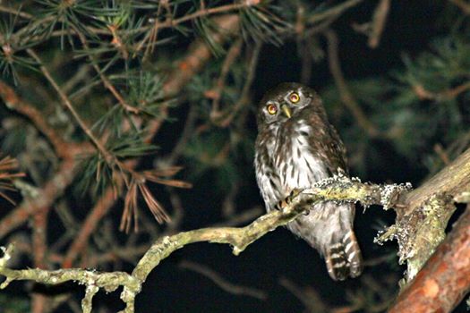 13692696_1068741093205663_8119010316123841246_n