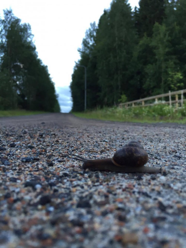 13901715_10154506041588629_2072662306_o