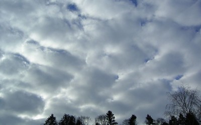 Aloittelevan pilvibongarin opas