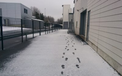 Nörttityttö ja uusi ammatti, osa 3