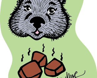 Kakkaviikko: Jännittävät kakat