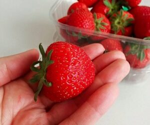 Juuri oikeenlaista kemiaa