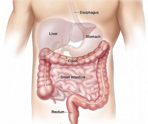 Kakkaviikko: Mystinen kakka