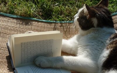 Nörttityttöjen Atorox-raadin mietteet ja lukukokemukset, osa 3